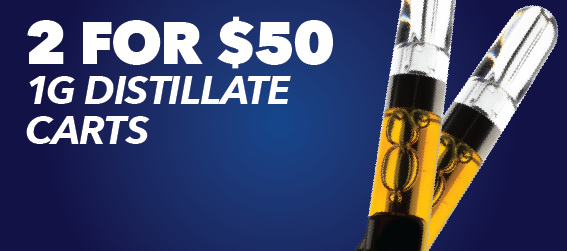 Homepage Current Specials - Product 3