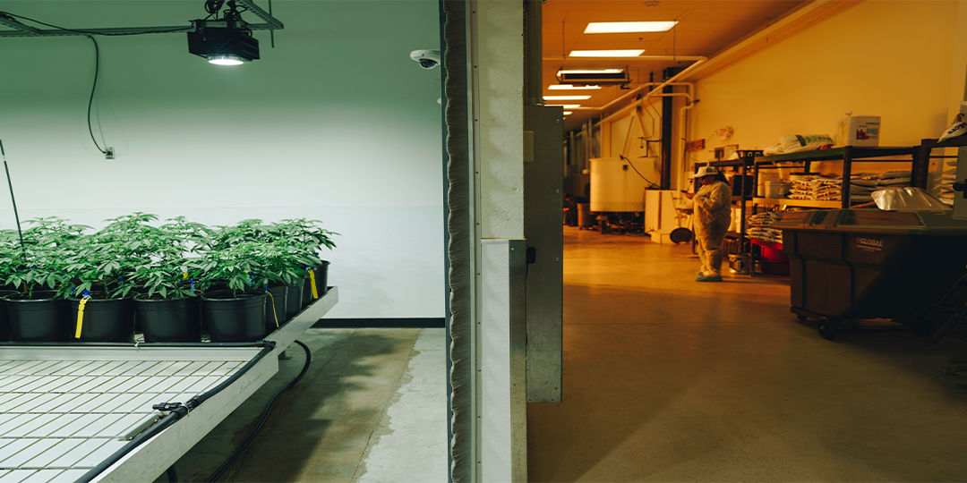 Blog-Post_Ask-The-Experts_SLM