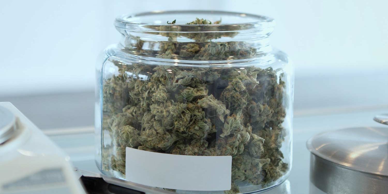 blog_favorite_strains