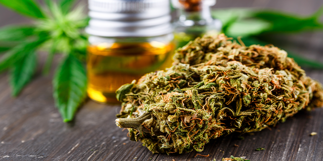 blog_post_understanding_cannabis