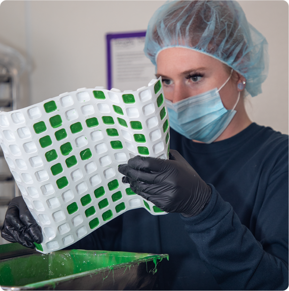 deep roots harvest careers